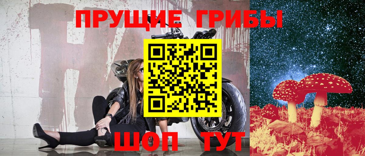Псилоцибиновые грибы MAGIC MUSHROOMS Касимов