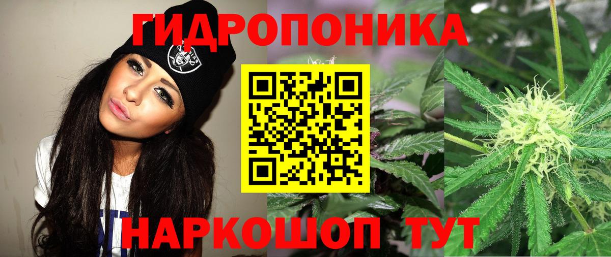 Бошки марихуана LSD WEED  Бошки Шишки MAZAR  Каннабис план  Вход с VPN  Касимов 